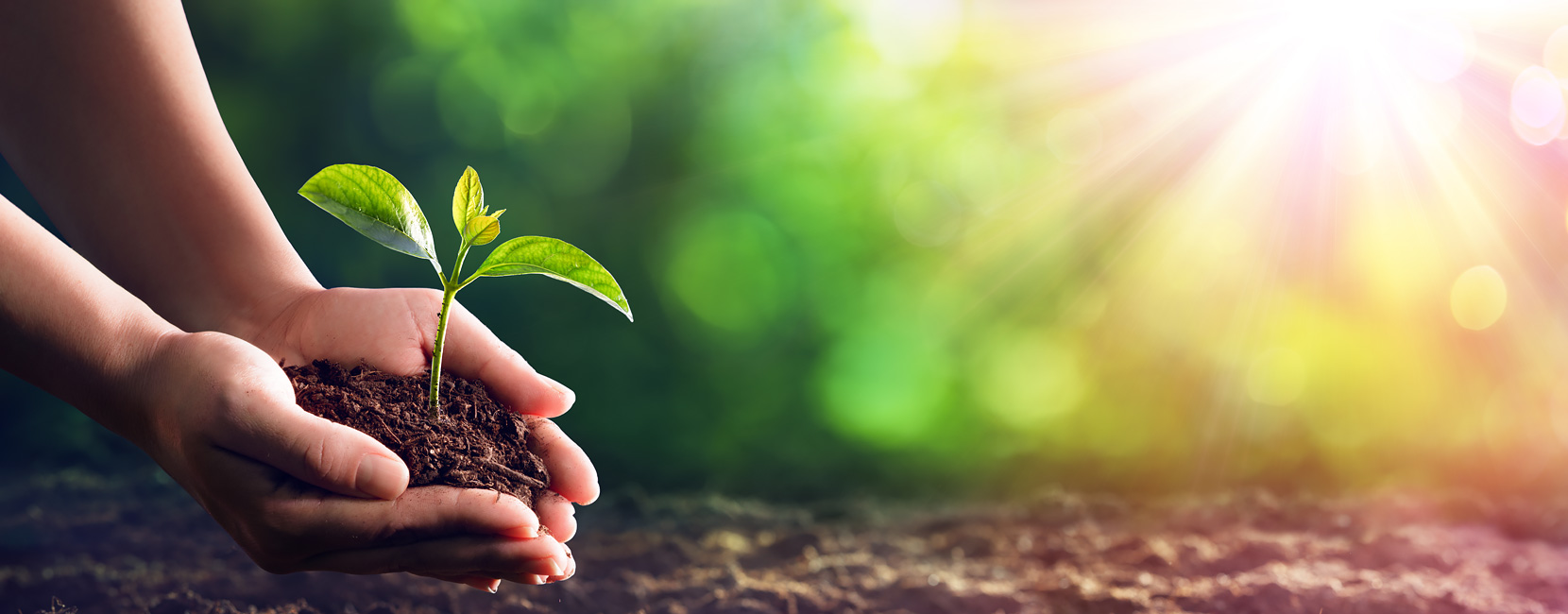 918������(�й���)����